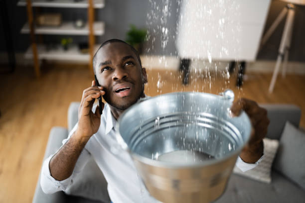 Best Water damage restoration services  in Newport, TN