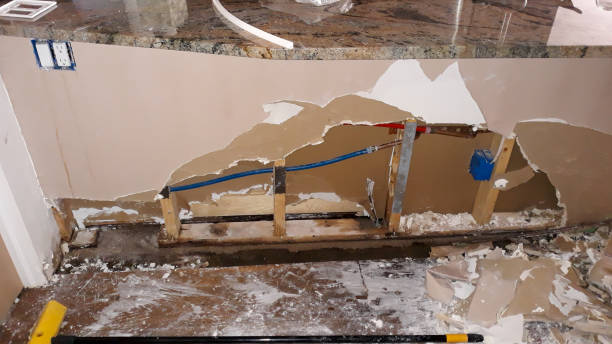 Best Professional water damage repair  in Newport, TN