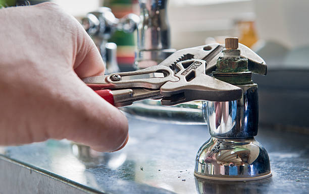 Best Carpet water damage restoration  in Newport, TN