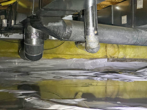 Best Local water damage restoration  in Newport, TN