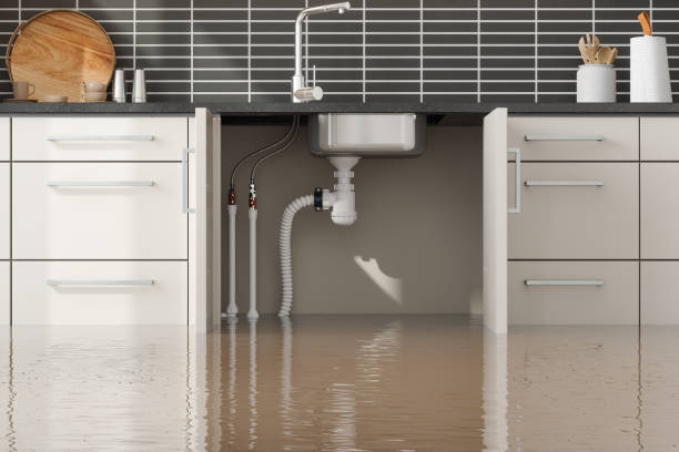 Best 24/7 water damage repair  in Newport, TN