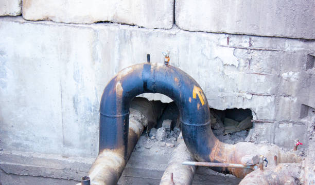 Best Water damage restoration near me  in Newport, TN